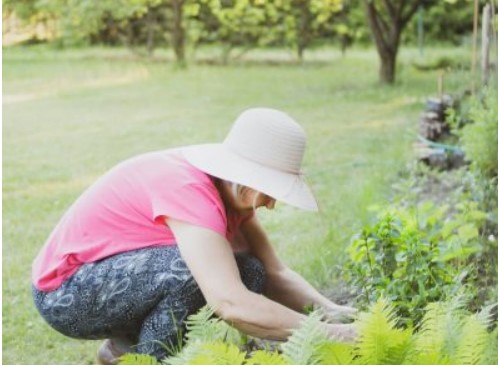growing your garden