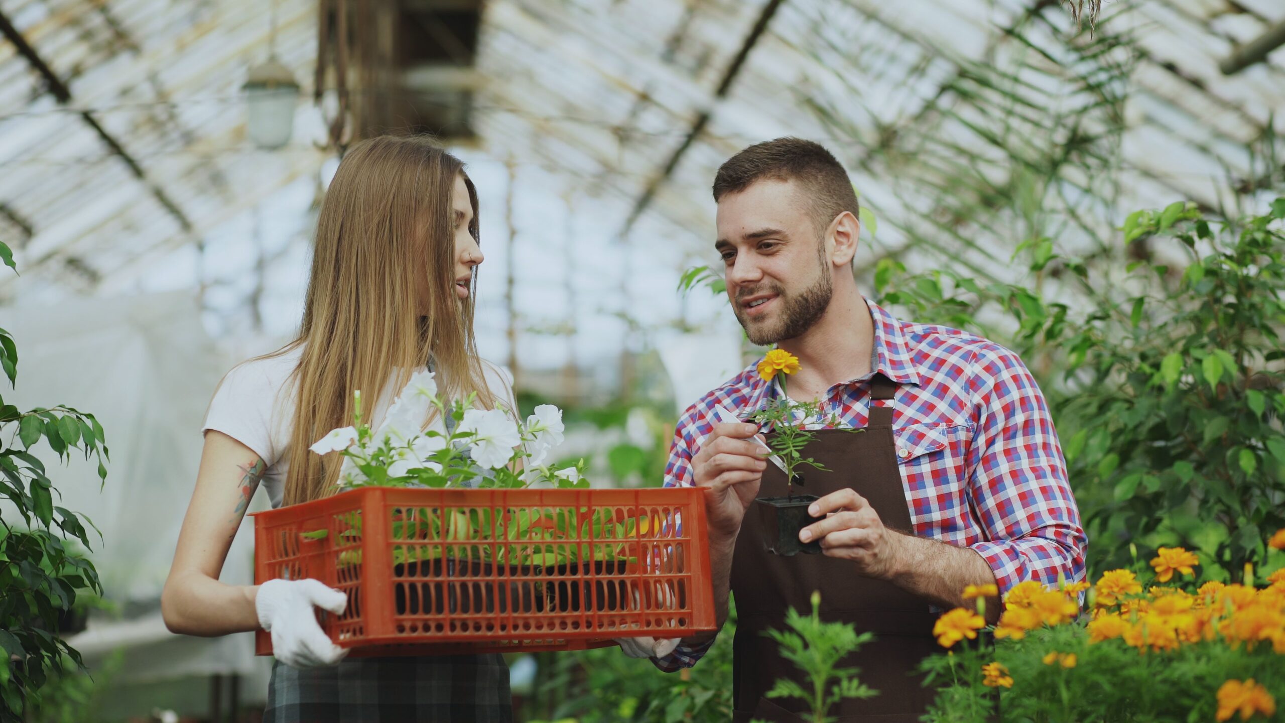 organizational growth requires vision